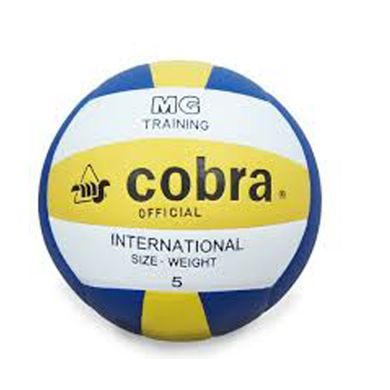 Cobra No.4 Volley Ball